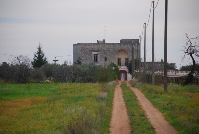 Clicca qui per vedere l'immagine in dettaglio